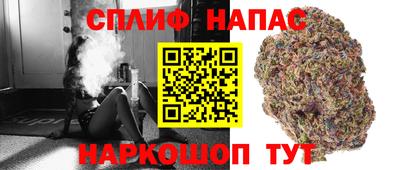 сатива Каменск-Шахтинский