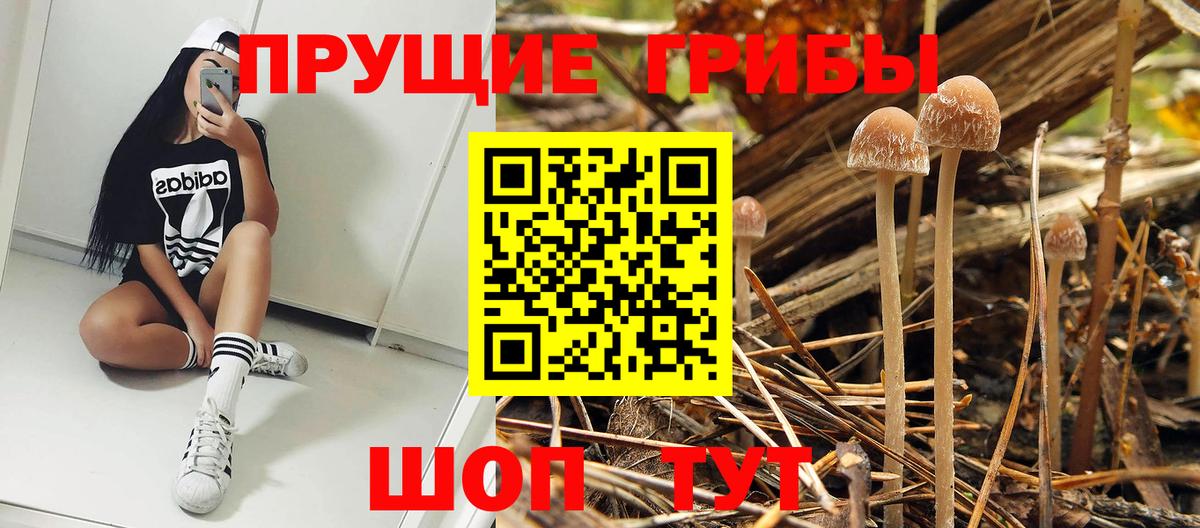 цены   Псилоцибиновые грибы прущие грибы  Вход с VPN  Анапа 